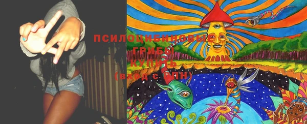 спайс Снежногорск