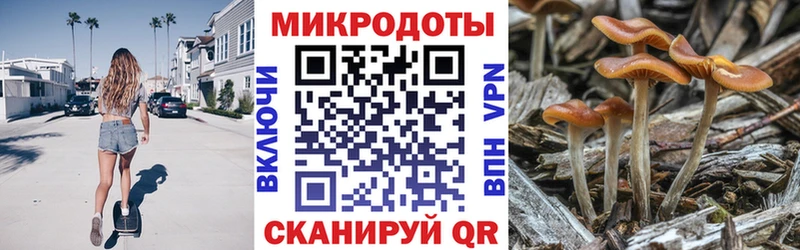 Псилоцибиновые грибы мухоморы  Катайск 